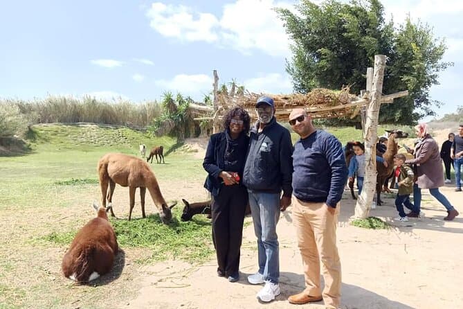 8-Hour Africa Safari Park Private Tour from Cairo with Hotel Pickup and Drop-off