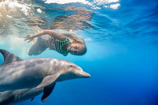 Dolphin House Royal Sea Trip with Lunch, Water Sport - Hurghada