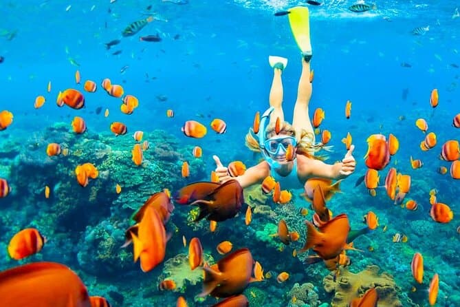 Semi Submarine Tour From Hurghada Makadi Soma Bay El Gouna Safaga