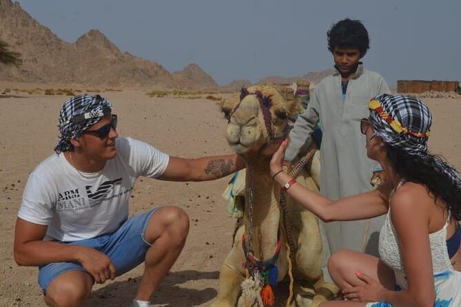 Hurghada Desert Safari: Quad, Buggy & Camel with BBQ Dinner