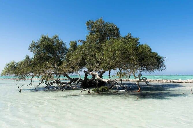 Private trip to wadi el Gemal from Marsa Alam