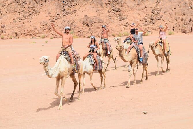 Camel Ride, Bedouin Dinner & Stargazing in 4X4 Jeep Safari in Hurghada
