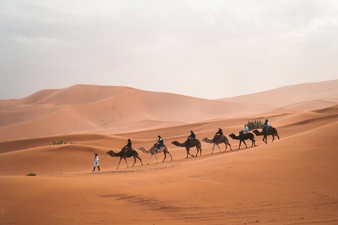 8-Hour Tour Giza Pyramids, Egyptian Museum and Cairo Bazaar