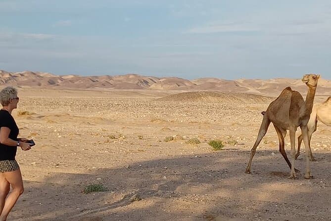 2-Days Tour of the Unique White Desert from Cairo