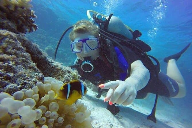 Scuba diving in Hurghada