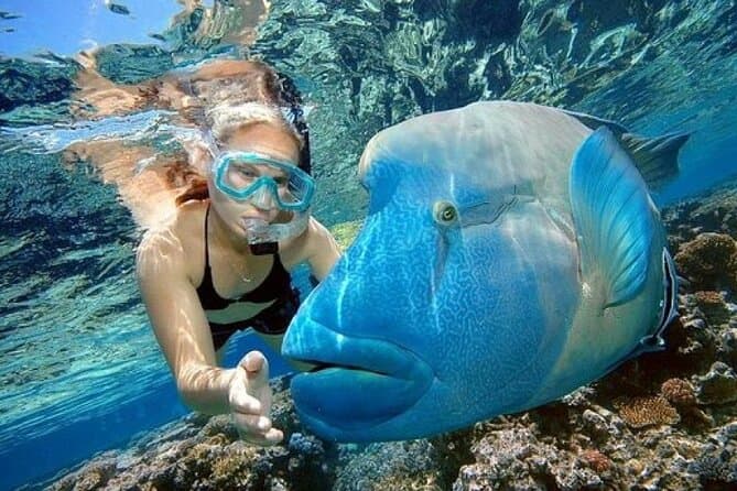 Day Tour to Snorkeling Trip to Giftun Island in Egypt