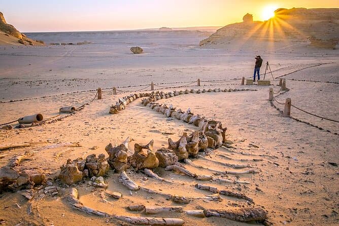 Private Tour in Fayoum for 2 Days and 1 Night