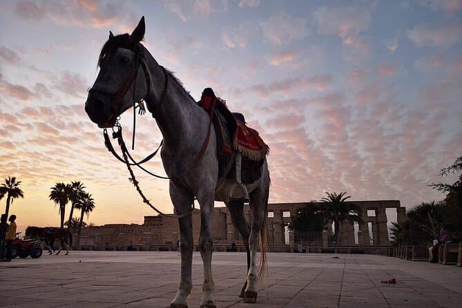 Full-Day Trip to Luxor by Plane from Cairo