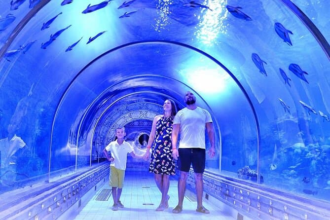 Hurghada Grand Aquarium Tour with Skip the Line Ticket