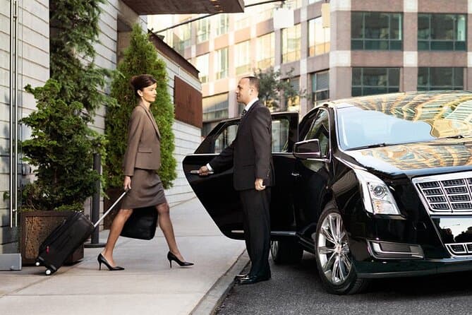 Private Arrival Cairo Airport CAI Transfer to Giza