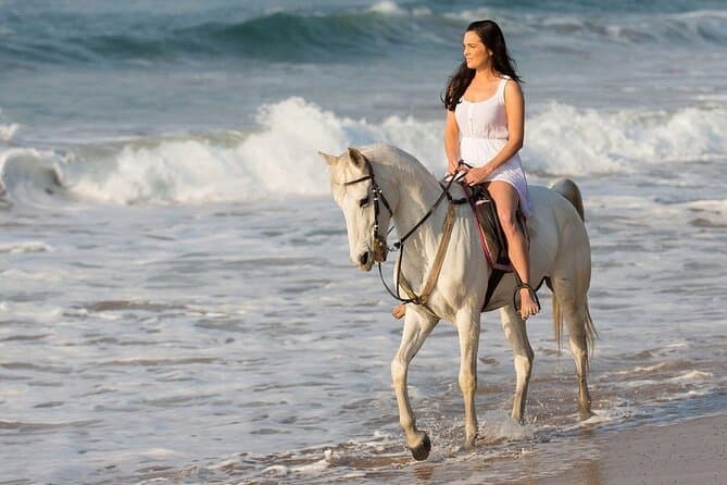 Beach Horse Riding Hurghada 1 or 2 Hours with Swimming Option