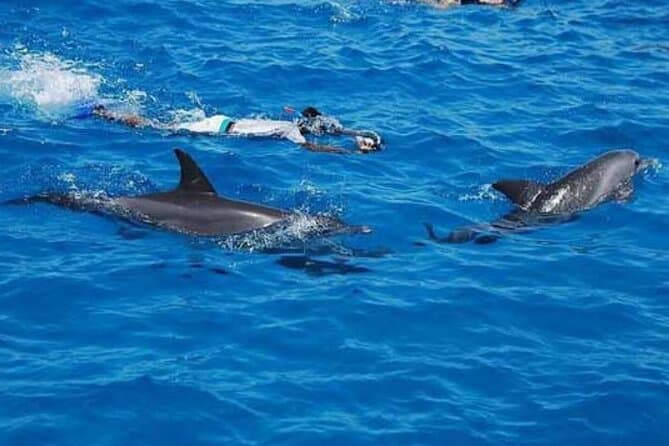 Full-Day VIP Boat Trip with Dolphins and Snorkeling in Hurghada