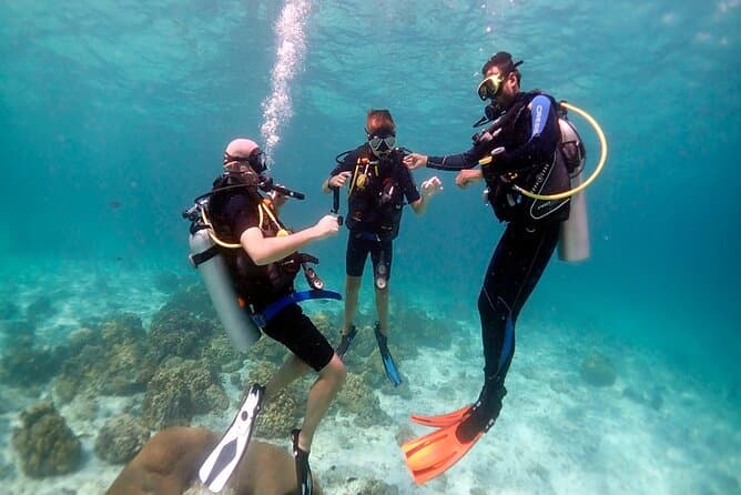Intero Dive Full Day on Boat 2 Time Diving