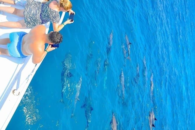 Dolphin Reef Trip, Full-Day Boat Trip With Snorkeling and Lunch.