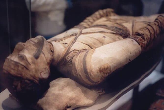 Visit Luxor Museum and Enjoy the Karnak Sound and Light Show