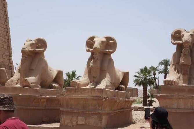 Tour In Luxor From Hurgharda By Bus