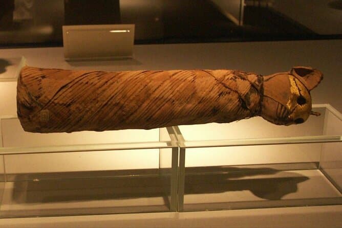 Private Tour Luxor Museum & Mummification Museum with Transport