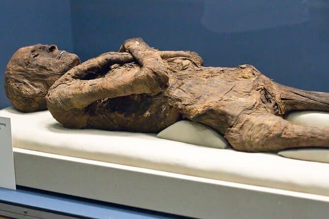 Historical Day Tour To Luxor And Mummification Museums