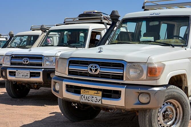 Safari Jeep, Buggy, Camel, Quad, Dinner and Show in Hurghada