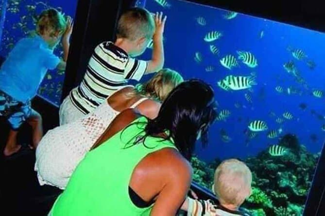 Seascope Semi-Submarine Adventure – 2-Hour Tour from Hurghada