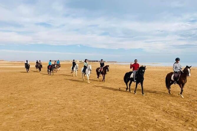 2 Hours of Private Horse Riding Activity in Hurghada