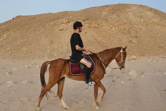 1 Hour horse Ride and Jeep adventure with stargazing -Hurghada