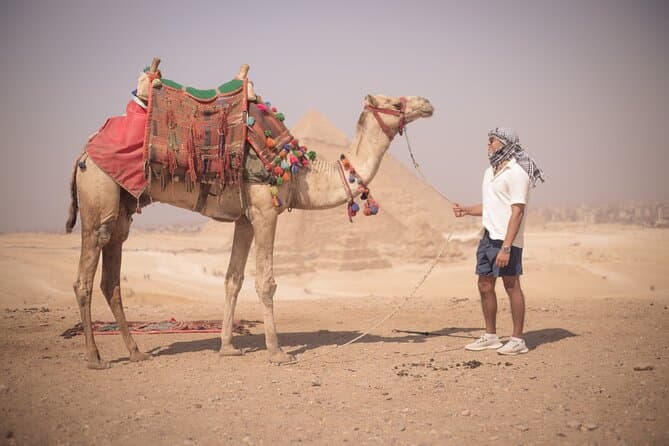 Tour privato alle Piramidi di Giza, Menfi, Saqqara e Dahshur
