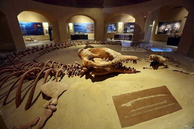 Guided tour to Valley Of The Whales From Cairo