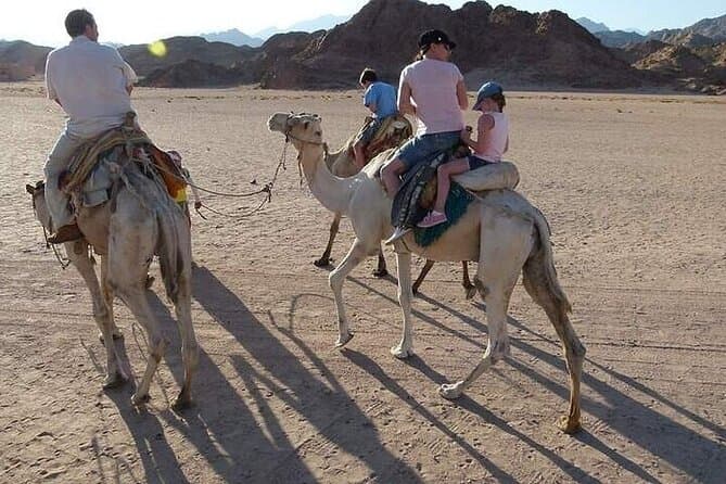 Luxor private City Tour west bank Camel Ride & Felucca sailboat