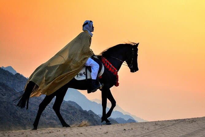 Sunrise Horse Ride Around Giza Pyramids