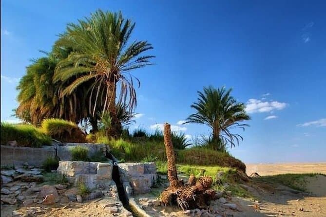 White Desert Awaits Ultimate Safari Adventure