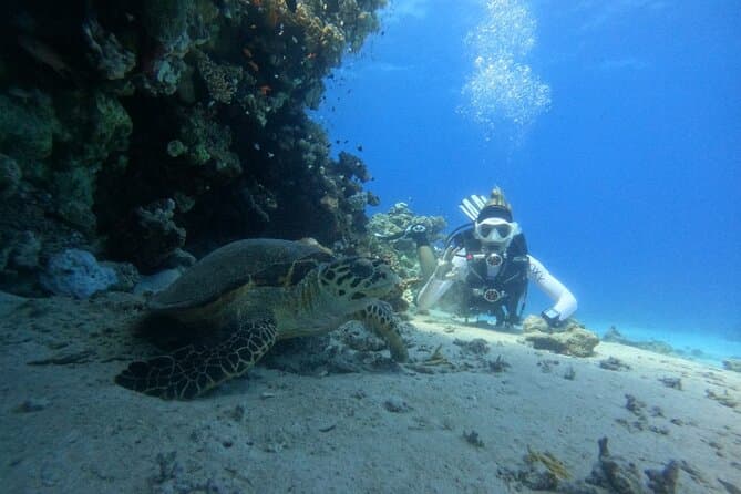 VIP Full Day Scuba Intro Diving with Lunch