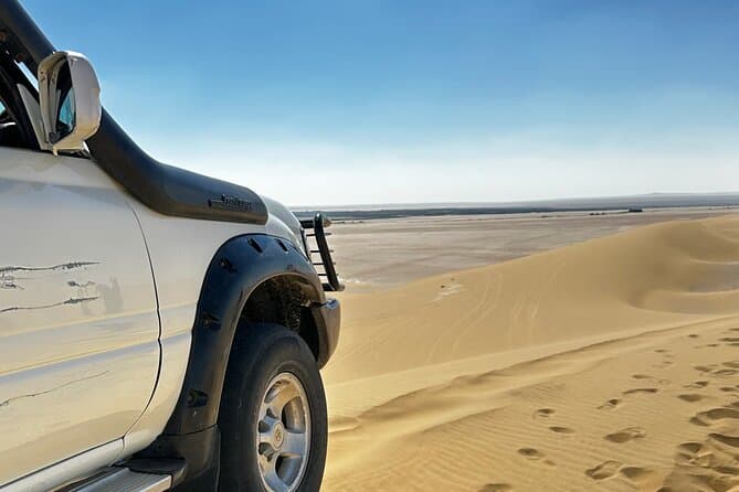 Sahara Desert Safari Experience and Sand Boarding From Cairo