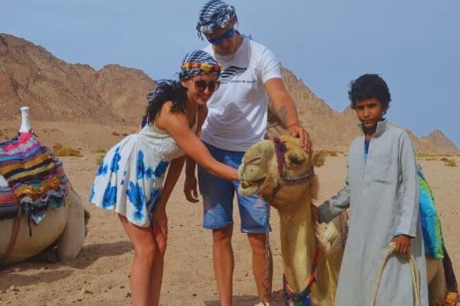Hurghada Safari Plus by Quad, Buggy, Camel & Dinner BBQ and Show