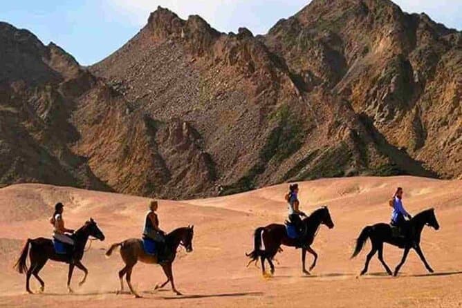 Horse riding 3 hours in hurghada