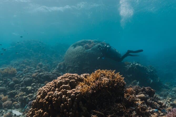 All-Inclusive 7-Day Red Sea Diving Trip on luxury Yacht