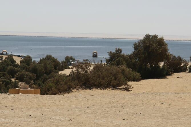 El Fayoum Oasis Day Tour from Cairo Wadi El Rayan and Wadi Hitan
