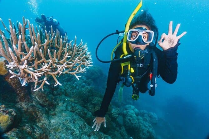 Battesimo subacqueo per principianti — 2 immersioni con pranzo - Hurghada
