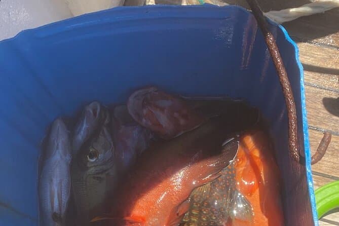 Full Day Fishing and Snorkeling Adventure with Lunch
