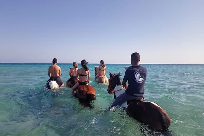 Sunset Horse Riding Adventure Desert and Sea in Hurghada