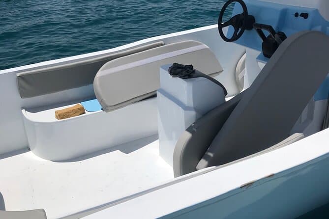 Private Speed Boat Dolphin Watching and Snorkeling Adventure