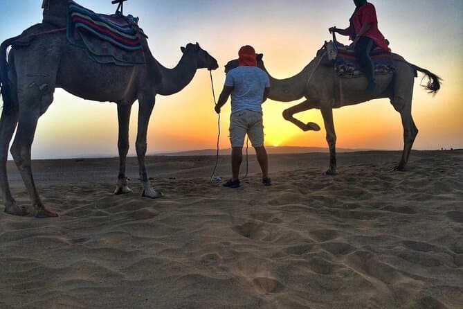 Marsa Alam Sea and Desert Camel Ride Adventure
