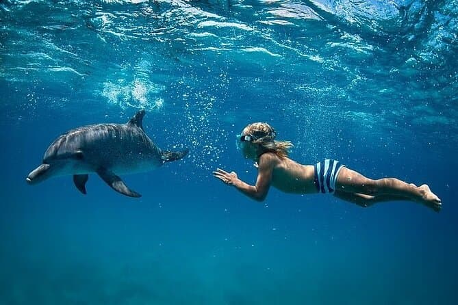 Dolphin House Full Day Snorkeling Cruise With Lunch – Hurghada