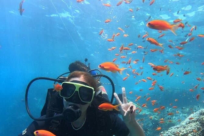 Scuba Diving Full Day For Beginners in Hurghada
