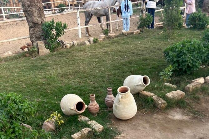 Breakfast, Lunch or Dinner: Exclusive Egyptian Countryside Exp