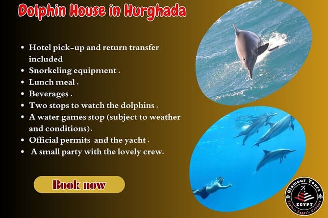 Dolphin House Red Sea Adventure