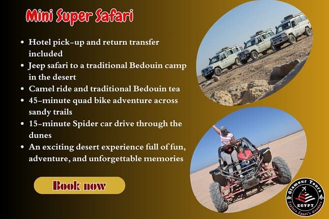 3-Hour Mini Super Safari: Quad, Jeep, Spider Car, Camel & Tea