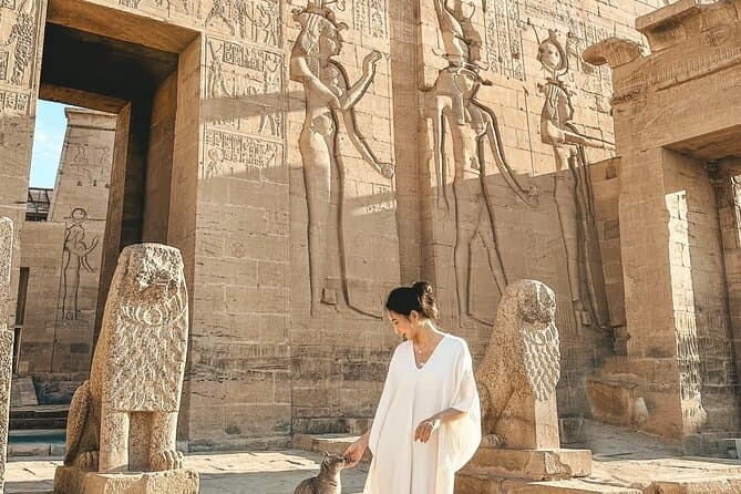 Private Day Trip from Luxor to Aswan Highlights