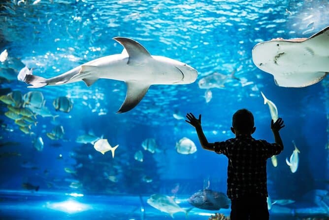 Explore Hurghada Grand Aquarium