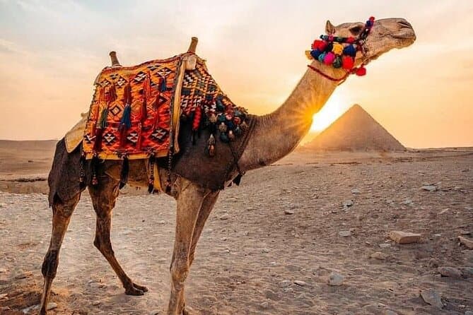 Camel Ride Tour Around the Pyramids of Giza